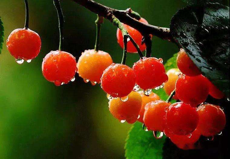 上?？婆d儀器