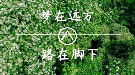 上?？婆d儀器